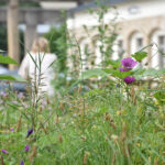 Cloud and Heat Unternehmen Team Office